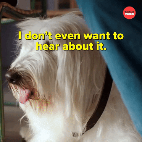 Dogs International Dog Day GIF by BuzzFeed