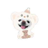 Bear くま Sticker