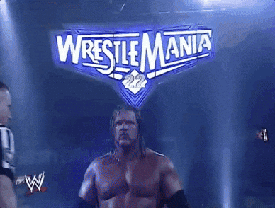 triple h wrestling GIF by WWE