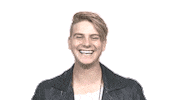 Vincent Gross Schlager Sticker by Ross Antony