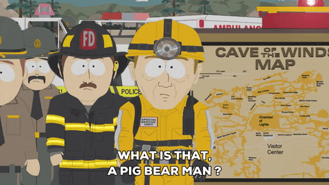 flashing lights police GIF by South Park 