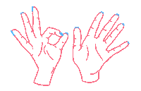 Miami Hands Sticker