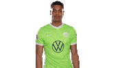 Football Sticker Sticker by VfL Wolfsburg