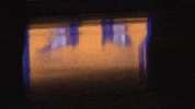 Excited College Sports GIF by Pitt Panthers