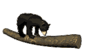 le tu STICKER