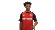 Bayer Leverkusen No Sticker by Bundesliga