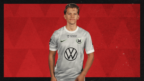 Vfl Wolfsburg Football GIF by Bundesliga