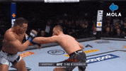 Angry Ultimate Fighting Championship GIF by MolaTV