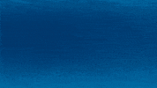 woperovski artist drawing fish painting GIF