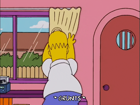 homer simpson episode 6 GIF