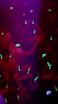 Party Fun GIF by RGB Disco