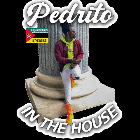 Pedrito GIF by Wearing Proudly