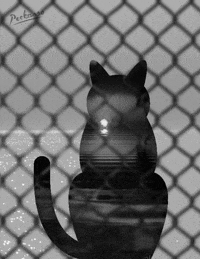 art film GIF by PEEKASSO