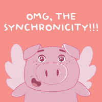 Believe Flying Pig GIF by PositivelyPigasus