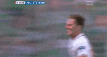 euro 2016 GIF by Sporza