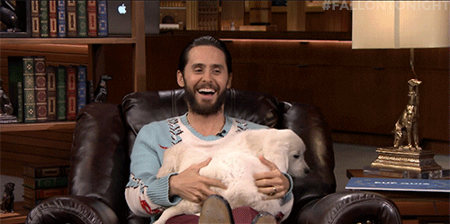 jimmy fallon GIF by The Tonight Show Starring Jimmy Fallon