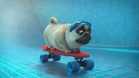 Happy Swimming Pool GIF by TeamTO