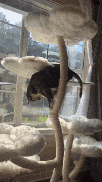 Puddles GIF