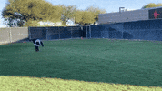 Excited Los Angeles GIF by XFL