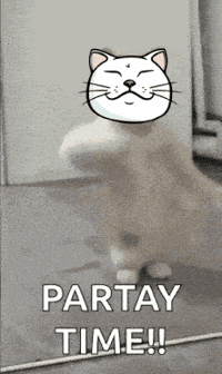Party Hype GIF by ShiroNeko
