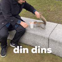 Tiah GIF