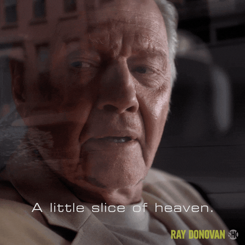 Episode 7 GIF by Ray Donovan