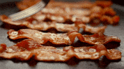 bacon GIF