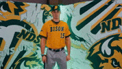 Baseball Bison GIF by NDSU Athletics