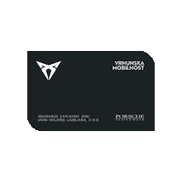 Cupra Pgc Sticker by porsche-group-card