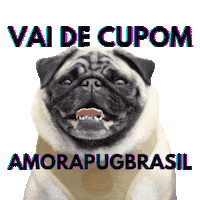 Zeedog Sticker by Amora Pug Brasil
