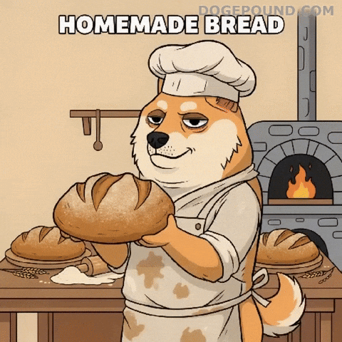 Shiba Inu Smiling GIF by Doge Pound