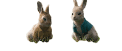 Hungry James Corden Sticker by Peter Rabbit Movie