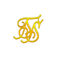 Electric Zoo Dance Sticker by SikSilk