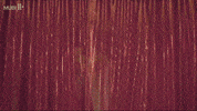 Entering Latin America GIF by MUBI