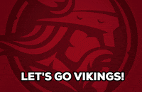 Minnesota Vikings University GIF by Bethany Lutheran College