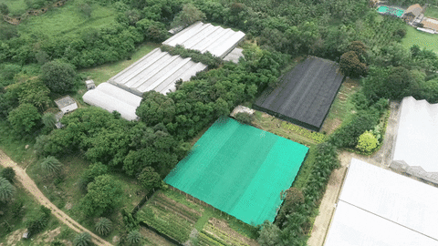 aksara giphyupload GIF