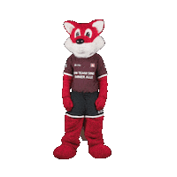 Celebrate Euro 2024 Sticker by UBS Schweiz