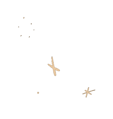 Star Sparkle Sticker by haenaillust