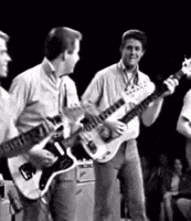 The Beach Boys GIF