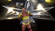 Hulk Hogan Wwe GIF