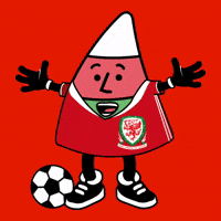 Welsh Football Faw GIF by Urdd Gobaith Cymru