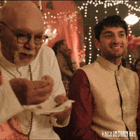 WayfarerStudios this is fine indian wedding naveen why am i here GIF