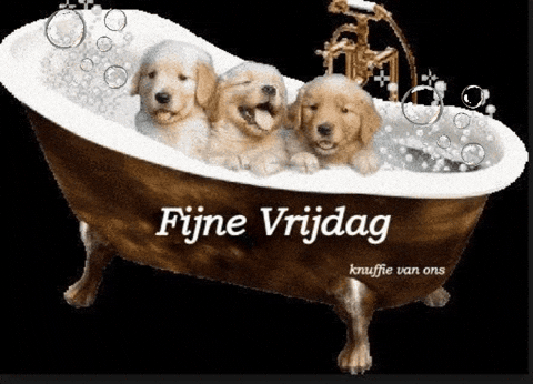 hjb8860 giphygifmaker giphyattribution GIF