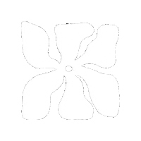 Bloom Bloomwellness Sticker by Park Creative Co