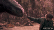 Friendship Dragons GIF by How To Train Your Dragon