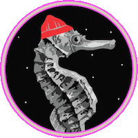 olaestudio design marketing brasil jeri Sticker