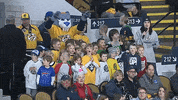 GIF by Milwaukee Admirals