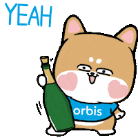Champagne Wow Sticker by OrbisHK