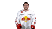 Ice Hockey Applause Sticker by EC Red Bull Salzburg