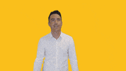 Makelaar Verkocht GIF by SchielandBorsboom